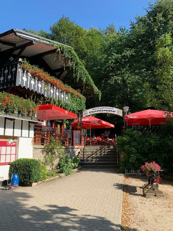 Koenig Apartment Wernigerode